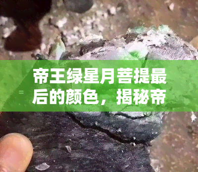 星月菩提帝王绿盘成后效果