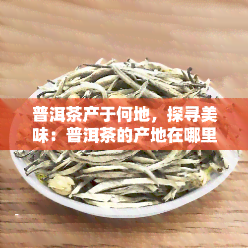 JN江南体育最新官网入口普洱茶的产地-普洱茶的产地在哪里(图1)