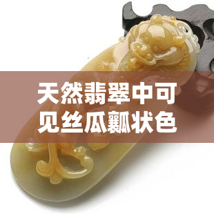 天然翡翠中可见丝瓜瓤状色的是哪种矿物?