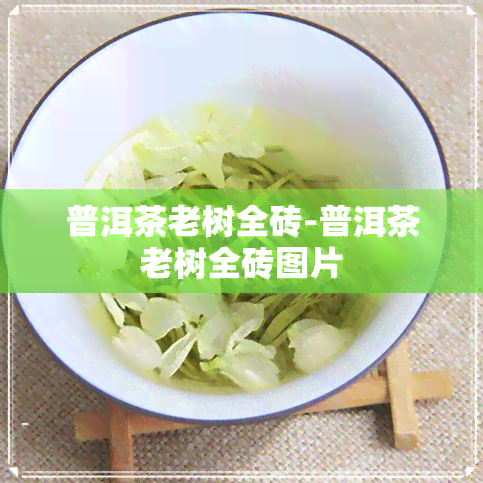 普洱茶老树全砖-普洱茶老树全砖图片