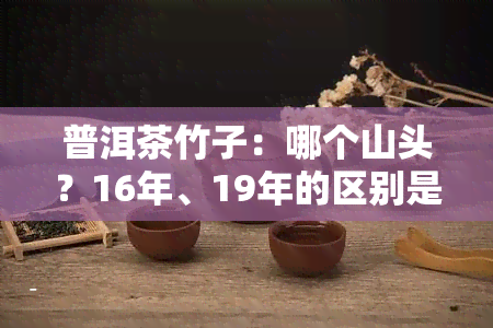 普洱茶竹子：哪个山头？16年、19年的区别是什么？