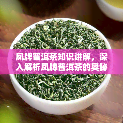 凤牌普洱茶知识讲解，深入解析凤牌普洱茶的奥秘与魅力