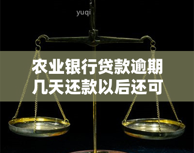 农业银行贷款逾期几天还款以后还可以贷出来吗，关于农业银行贷款：逾期几天还款后是否还能再次申请?