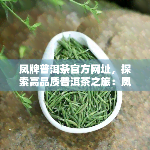 凤牌普洱茶官方网址，探索高品质普洱茶之旅：凤牌普洱茶官方网址