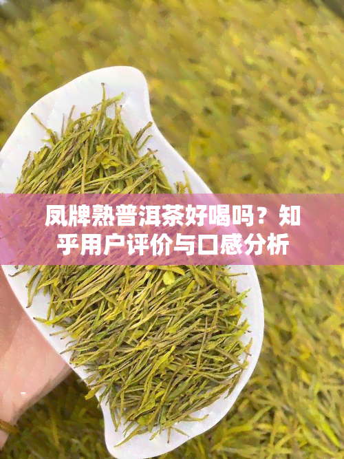 凤牌熟普洱茶好喝吗？知乎用户评价与口感分析