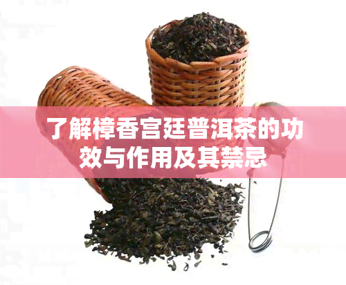 了解樟香宫廷普洱茶的功效与作用及其禁忌