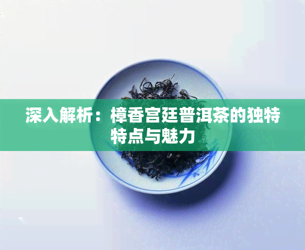 深入解析：樟香宫廷普洱茶的独特特点与魅力