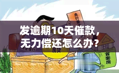 发逾期10天催款，无力偿还怎么办？