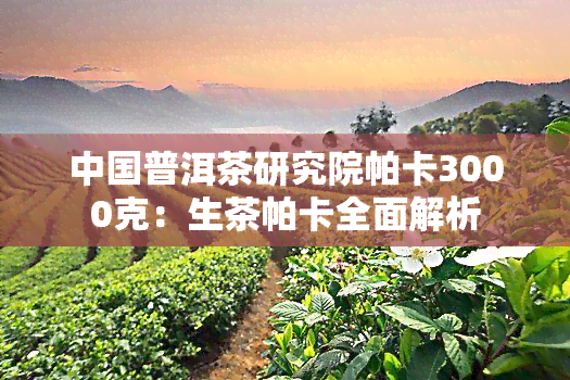 中国普洱茶研究院帕卡3000克：生茶帕卡全面解析