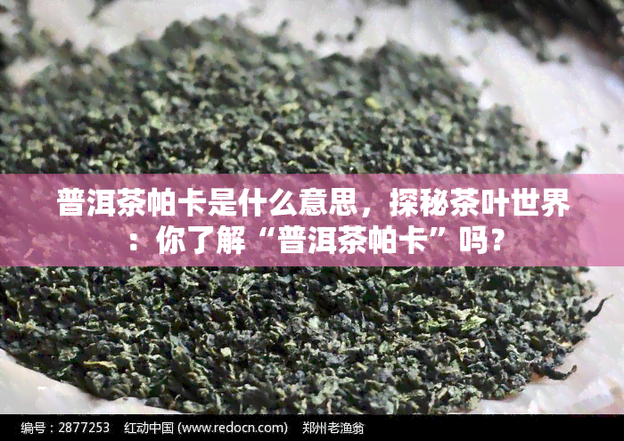 普洱茶帕卡是什么意思，探秘茶叶世界：你了解“普洱茶帕卡”吗？