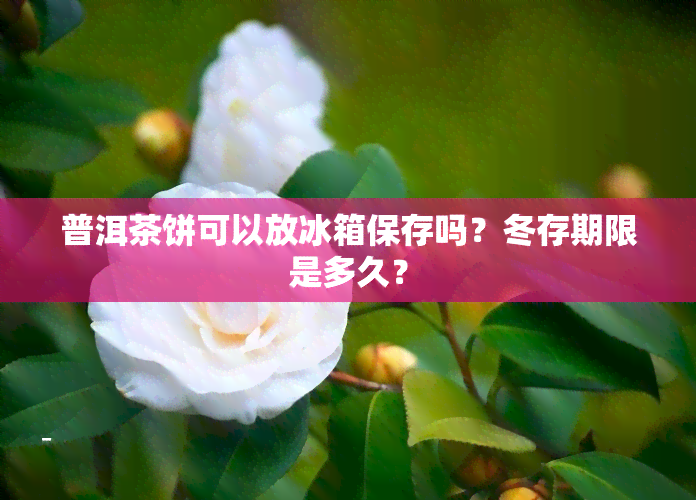 普洱茶饼可以放冰箱保存吗？冬存期限是多久？