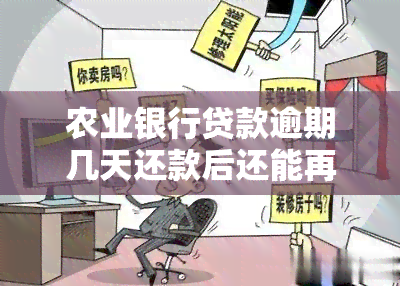 农业银行贷款逾期几天还款后还能再贷吗？逾期处理方法及影响解析