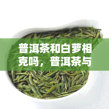 普洱茶和白萝相克吗，普洱茶与白萝是否相克？探讨两者搭配的饮食禁忌