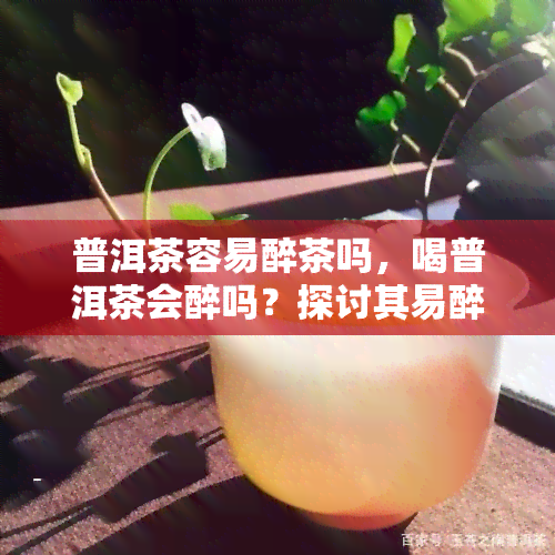 普洱茶容易醉茶吗，喝普洱茶会醉吗？探讨其易醉性