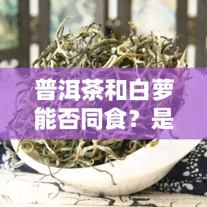 普洱茶和白萝能否同食？是否会中或上火？