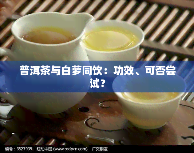 普洱茶与白萝同饮：功效、可否尝试？