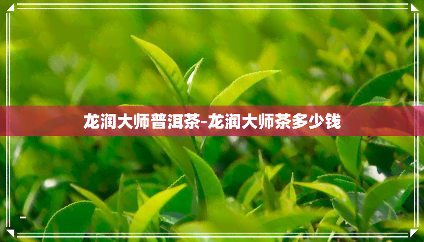 龙润大师普洱茶-龙润大师茶多少钱