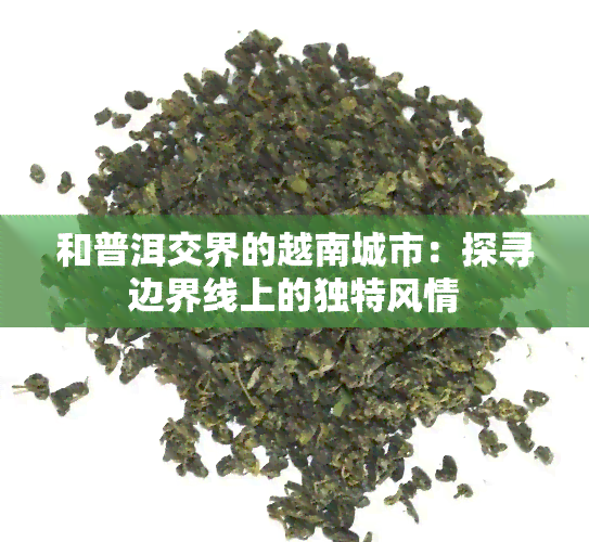 和普洱交界的越南城市：探寻边界线上的独特风情