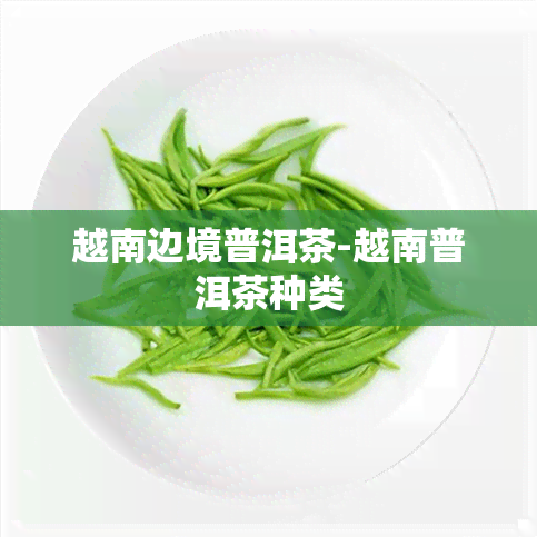 越南边境普洱茶-越南普洱茶种类