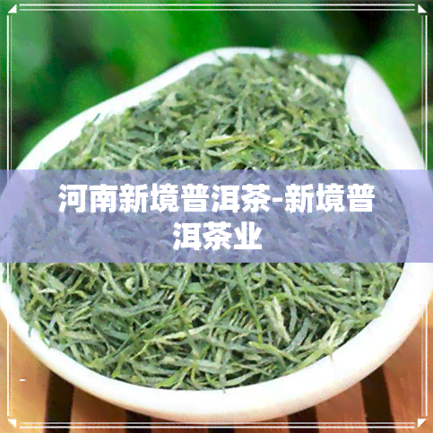 河南新境普洱茶-新境普洱茶业