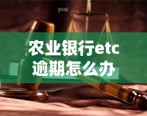 农业银行etc逾期怎么办，如何解决农业银行ETC逾期问题？