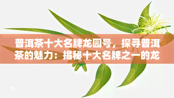 普洱茶十大名牌龙园号，探寻普洱茶的魅力：揭秘十大名牌之一的龙园号