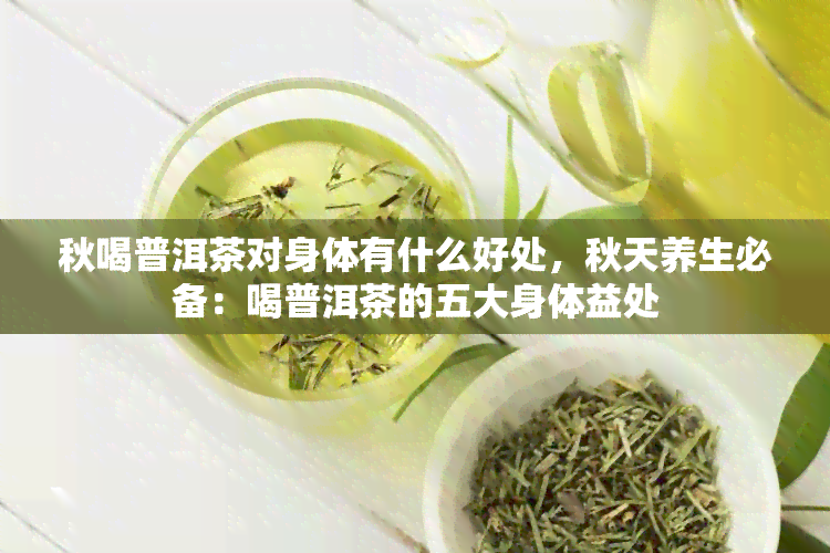 秋喝普洱茶对身体有什么好处，秋天养生必备：喝普洱茶的五大身体益处