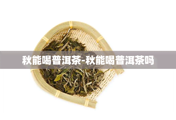 秋能喝普洱茶-秋能喝普洱茶吗