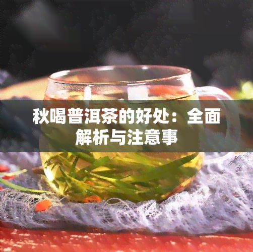 秋喝普洱茶的好处：全面解析与注意事