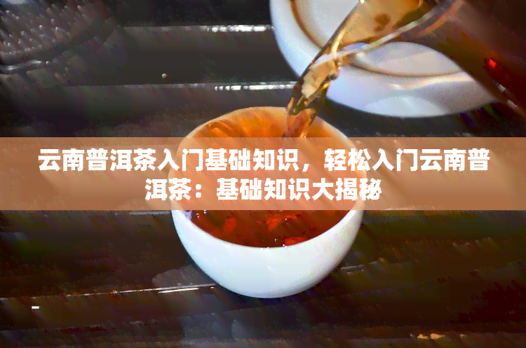 云南普洱茶入门基础知识，轻松入门云南普洱茶：基础知识大揭秘