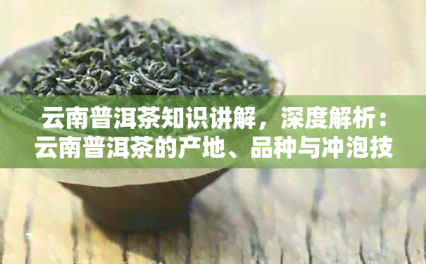 云南普洱茶知识讲解，深度解析：云南普洱茶的产地、品种与冲泡技巧