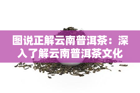 图说正解云南普洱茶：深入了解云南普洱茶文化与品种，附精美云南普洱茶叶图片