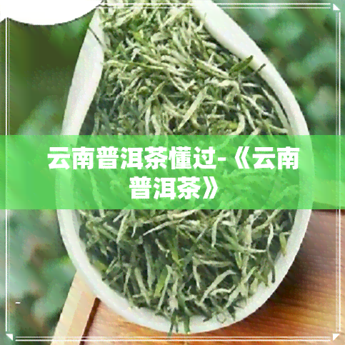 云南普洱茶懂过-《云南普洱茶》