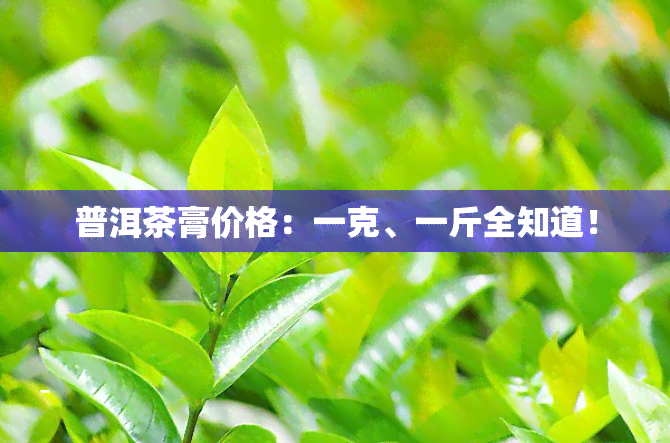 普洱茶膏价格：一克、一斤全知道！