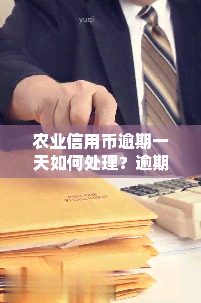 农业信用币逾期一天如何处理？逾期1天利息计算方法及逾期2年的后果