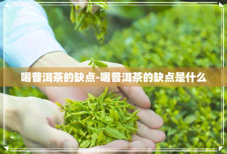 喝普洱茶的缺点-喝普洱茶的缺点是什么