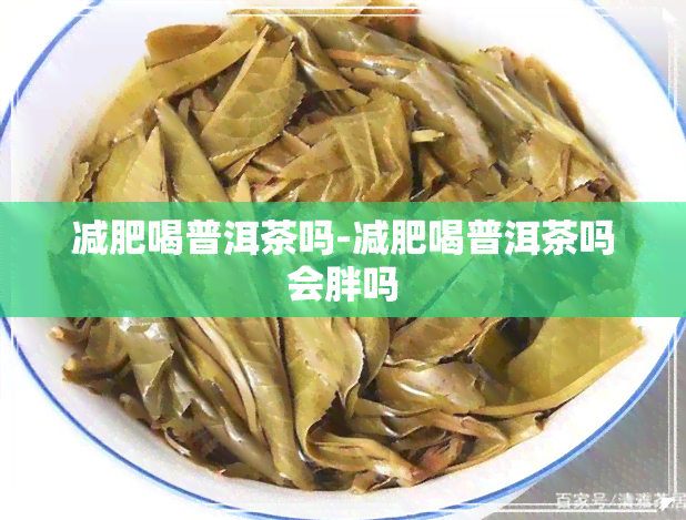 减肥喝普洱茶吗-减肥喝普洱茶吗会胖吗