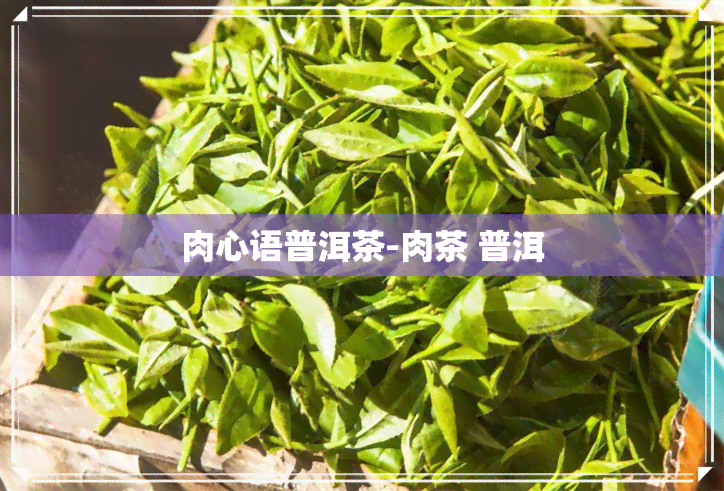 肉心语普洱茶-肉茶 普洱