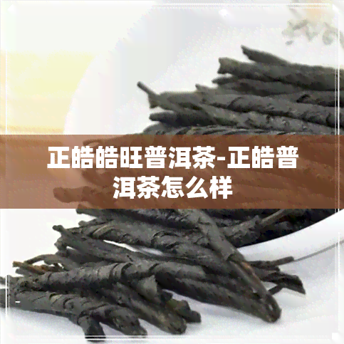 正皓皓旺普洱茶-正皓普洱茶怎么样