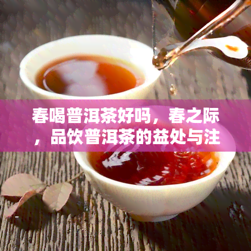 春喝普洱茶好吗，春之际，品饮普洱茶的益处与注意事