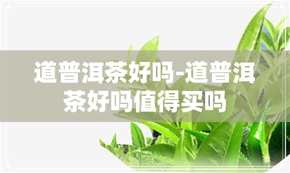 道普洱茶好吗-道普洱茶好吗值得买吗