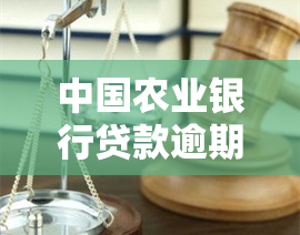 中国农业银行贷款逾期多久会被起诉？影响因素与后果解析