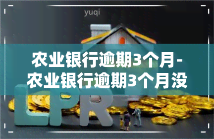 农业银行逾期3个月-农业银行逾期3个月没还会有什么后果?