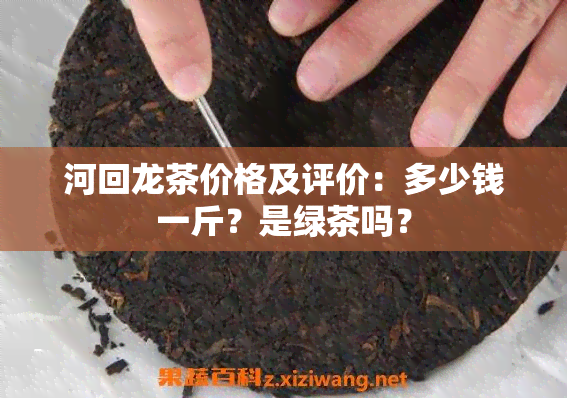 河回龙茶价格及评价：多少钱一斤？是绿茶吗？