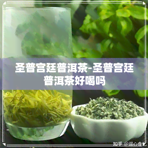 圣普宫廷普洱茶-圣普宫廷普洱茶好喝吗