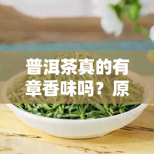 普洱茶真的有章香味吗？原因是什么？