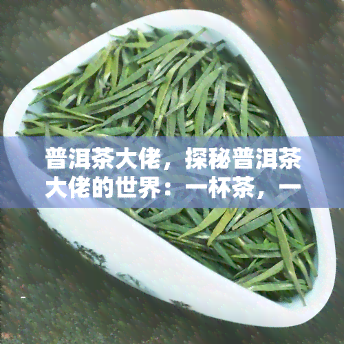 普洱茶大佬，探秘普洱茶大佬的世界：一杯茶，一种生活态度