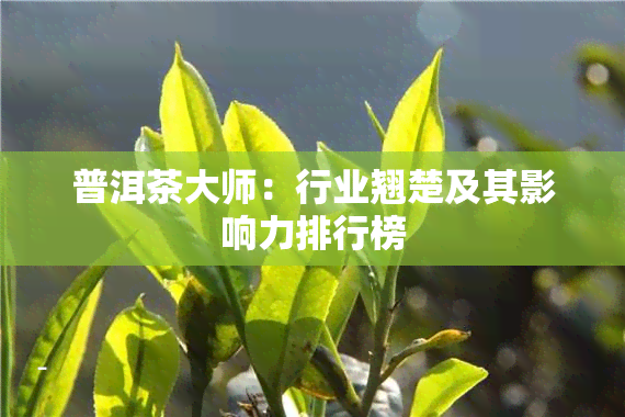 普洱茶大师：行业翘楚及其影响力排行榜