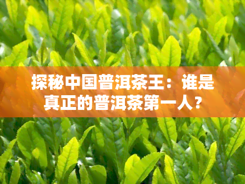 探秘中国普洱茶王：谁是真正的普洱茶之一人？