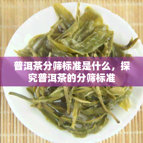 普洱茶分筛标准是什么，探究普洱茶的分筛标准